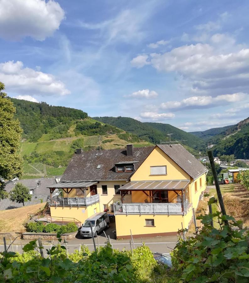 Die Ferienwohnung Lindenhof Zell Exterior foto