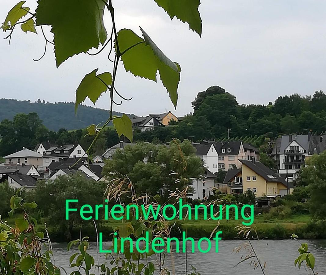 Die Ferienwohnung Lindenhof Zell Exterior foto